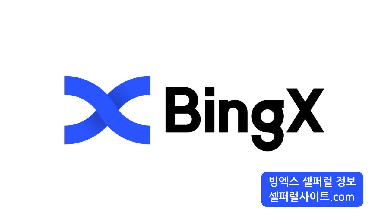 빙엑스 (BingX)